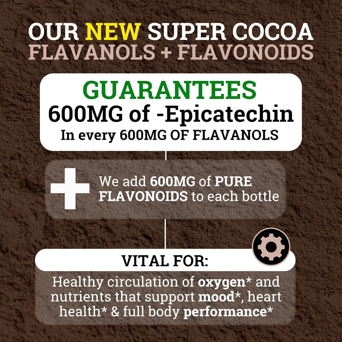 Black Forest High Flavanol Cocoa Powder (1200 mg cocoa flavanol and flavonoid supplement) has 10 times more than cocoa, 600 mg catechin supplement for heart health, nitric oxide and omega-3 energy
